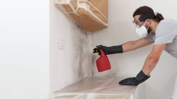 Professional Bathroom Mold Removal technician working in Marietta, GA