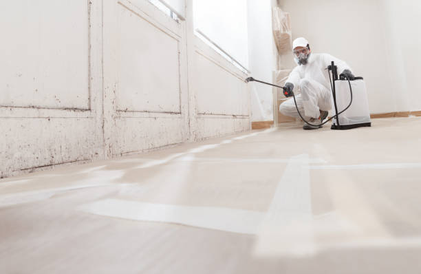 24/7 Emergency Bathroom Mold Removal experts in Marietta, GA